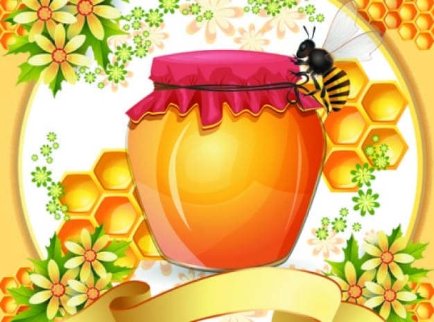 bees and honey 10