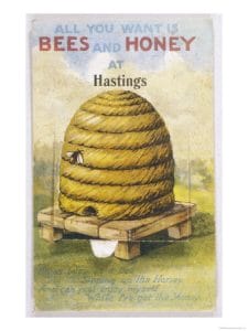 bees and honey 14