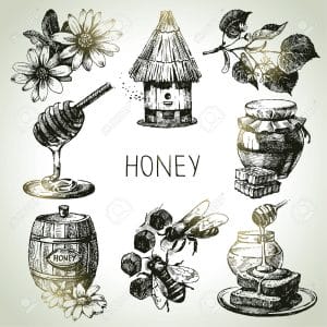 bees and honey 4
