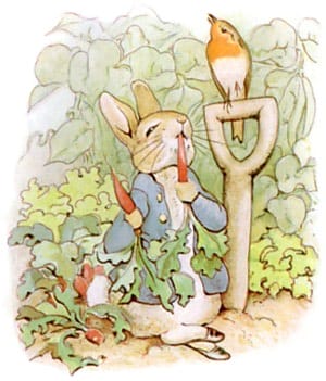 childrensbook15