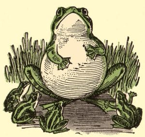 public domain frog illustration 16
