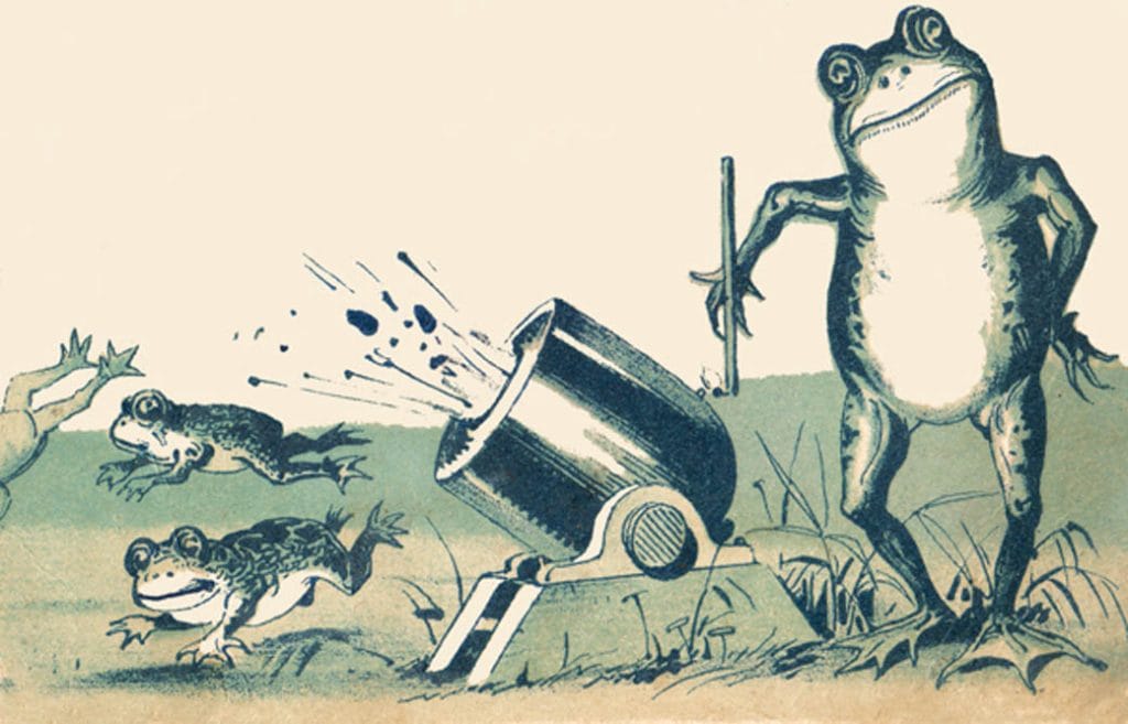 public domain frog illustration 17