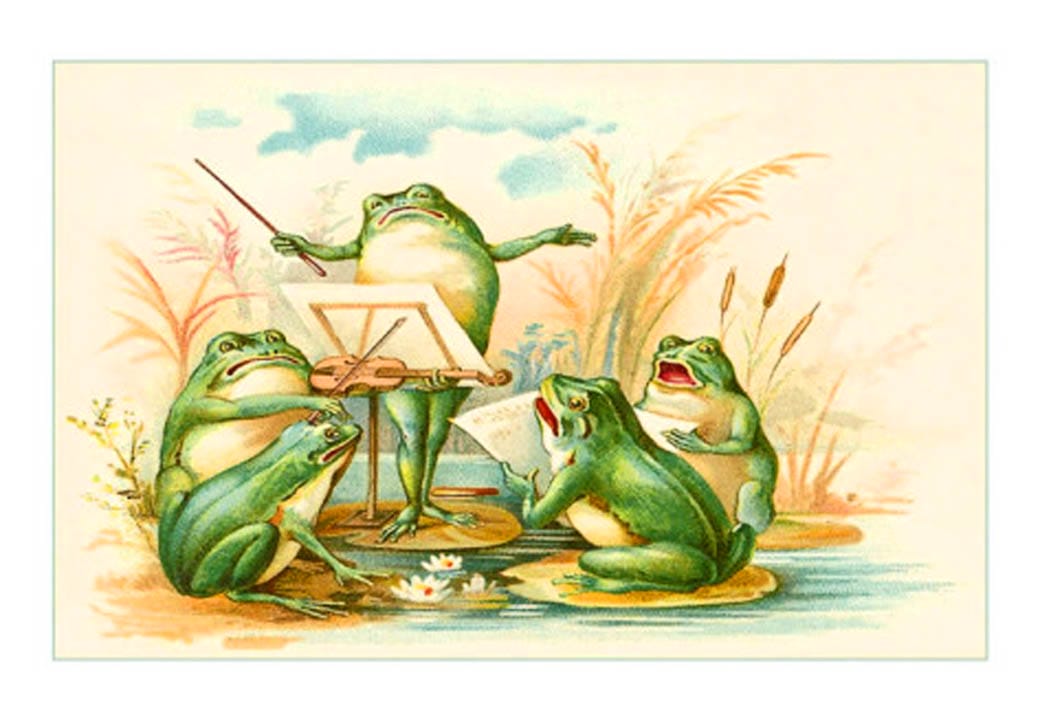 public domain frog illustration 2
