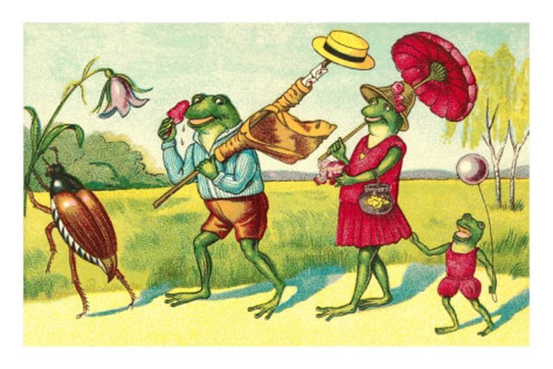 public domain frog illustration 3