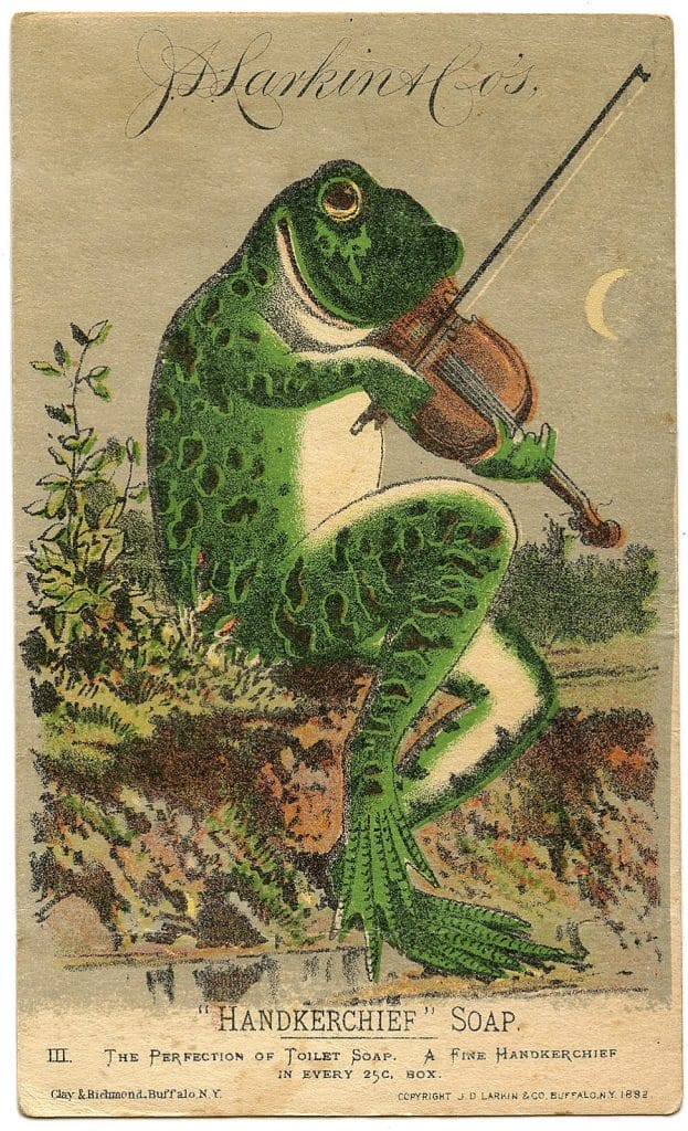 public domain frog illustration 4