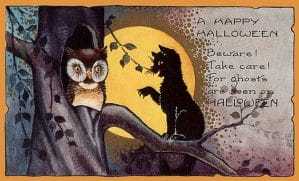 public domain vintage halloween card black cat and owl