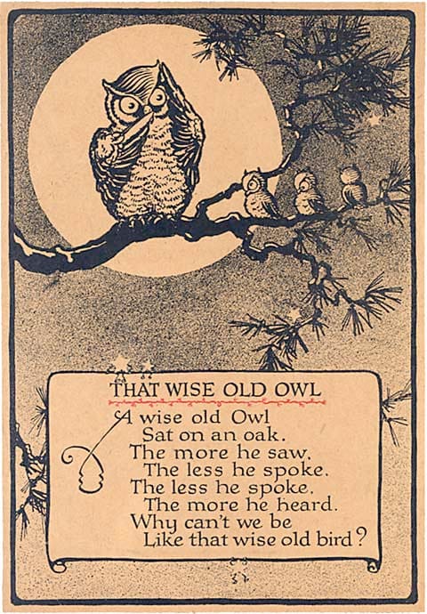 public domain vintage owl image 11