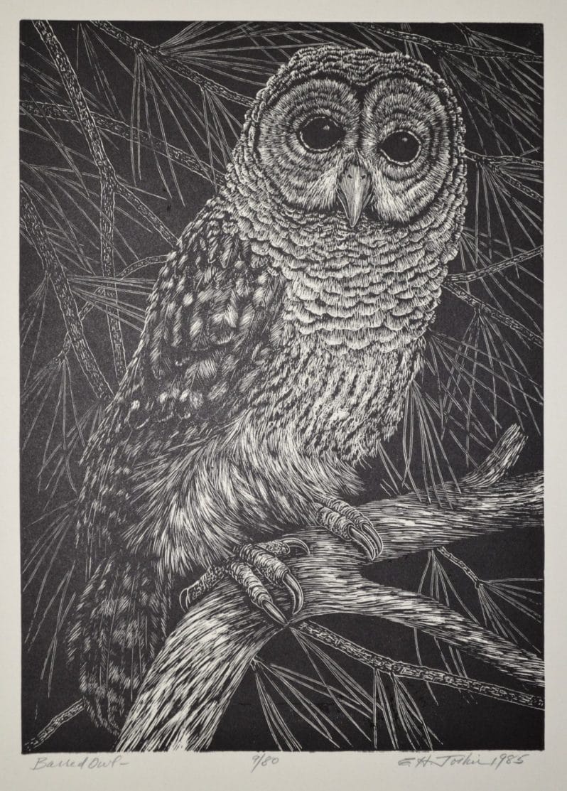 public domain vintage owl image 2