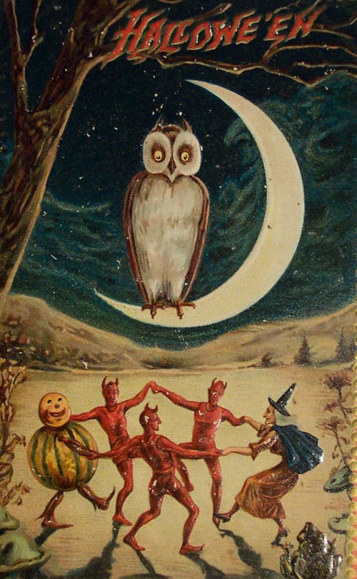 vintage halloween owl illustration