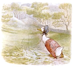free public domain vintage illustration of ducks 1 beatrix potter