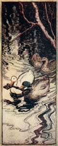 free public domain vintage illustration of ducks arthur rackham grimm book