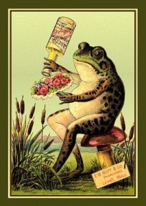 frogdrink