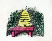 public domain bee hive illustrations vintage childrens books