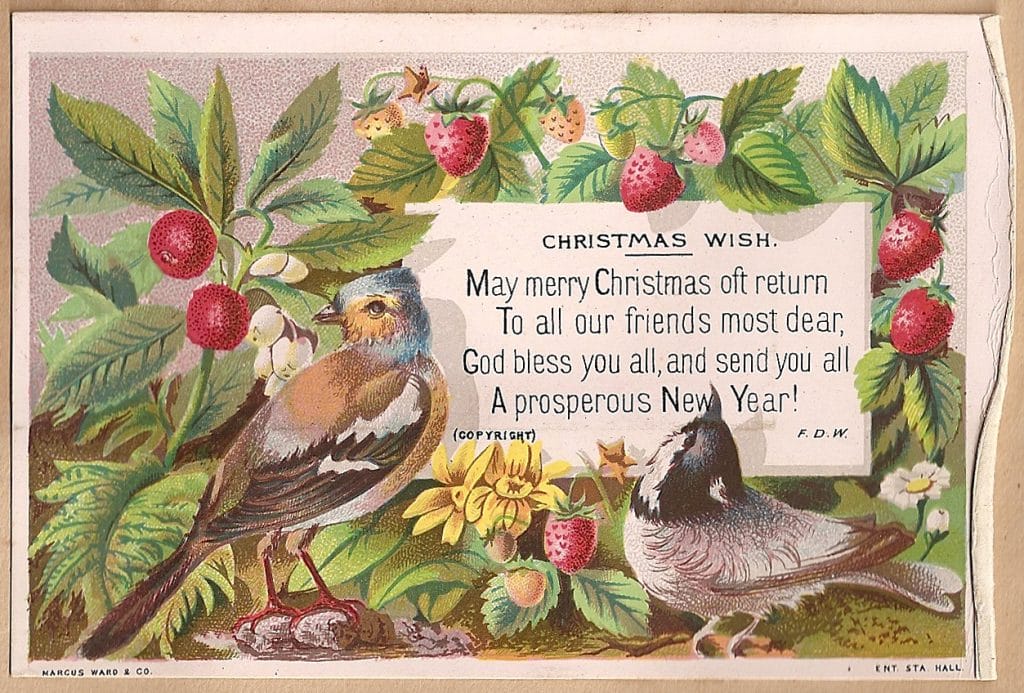 public domain vintage birthday card birds and florals