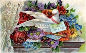 public domain vintage birthday card dove with flowers