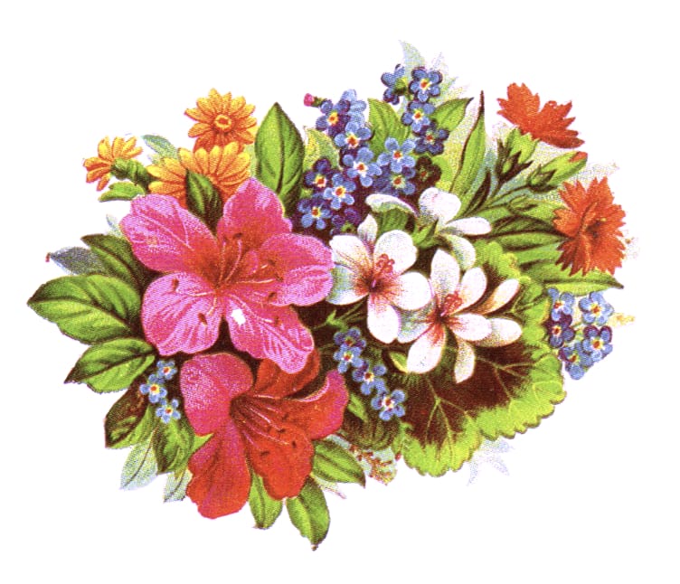 bouquet of spring flowers clip art