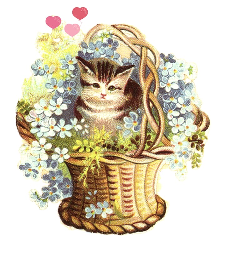 vintage clipart kitten in flower basket