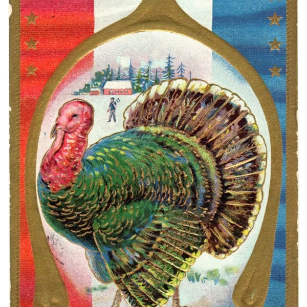 antique thanksgiving postcard public domain image