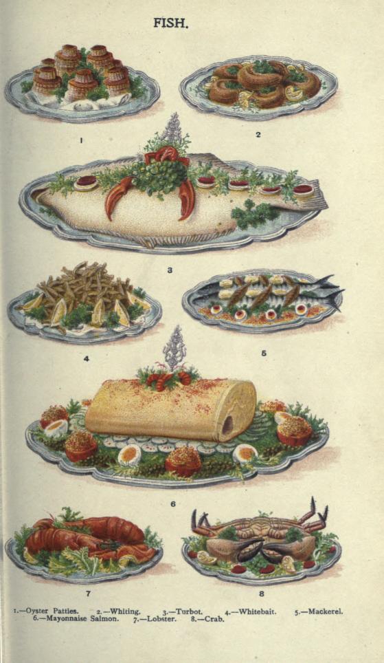 public domain vintage color illustrations of seafood