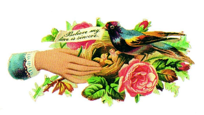 free vintage illustration of birds nest for valentines day
