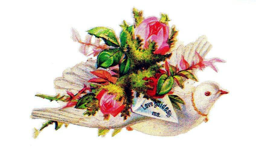 free vintage public domain valentines day dove and flowers