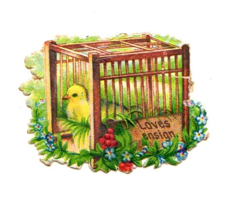 free vintage easter illustration of yellow bird in birdcage with flowers