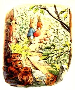 free vintage illustration of beatrix potter benjamin bunny 10