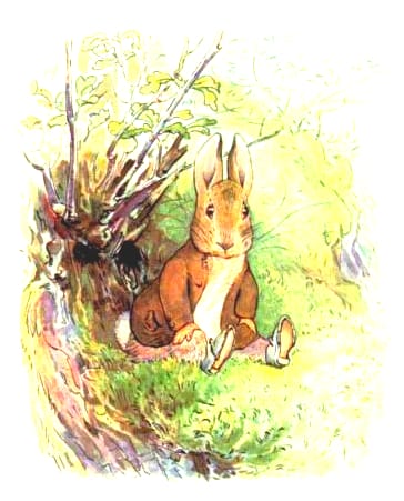 free vintage illustration of beatrix potter benjamin bunny 2