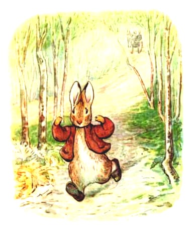 free vintage illustration of beatrix potter benjamin bunny 3