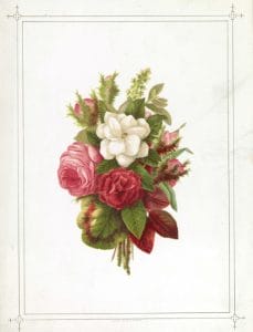 vintage public domain pink white roses card for mothers day