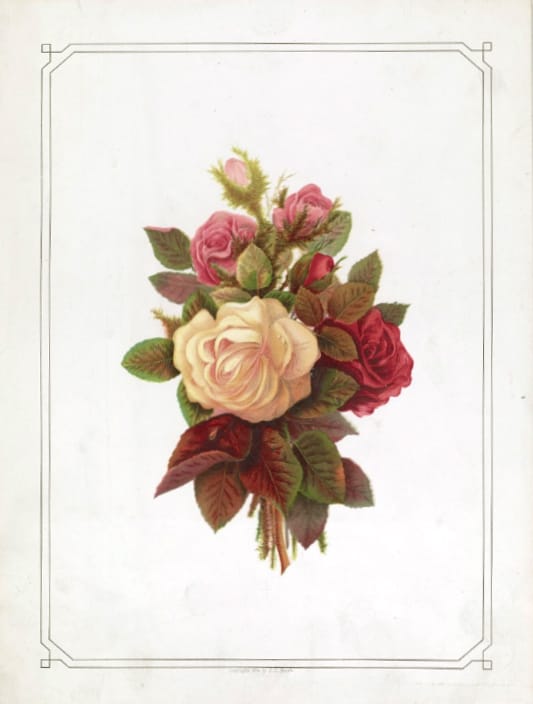 vintage public domain roses card for mothers day
