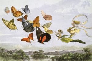 richard doyle in fairyland public domain