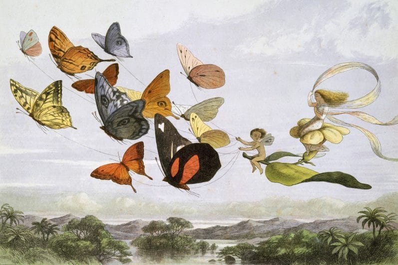 Two fairies flying through the sky with a butterfly leaf chariot.