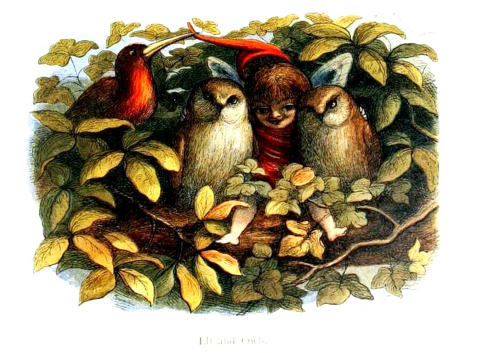 A vintage color illustration of an elf with owls and birds.