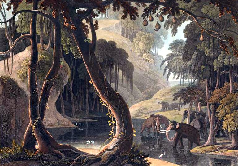 19th century color illustration of African scenery with elephants - public domain