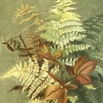 autumn leaves and ferns fall illustration public domain