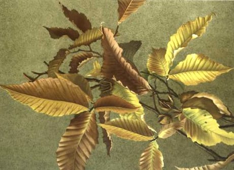 Fall illustrations of autumn leaves in the public domain