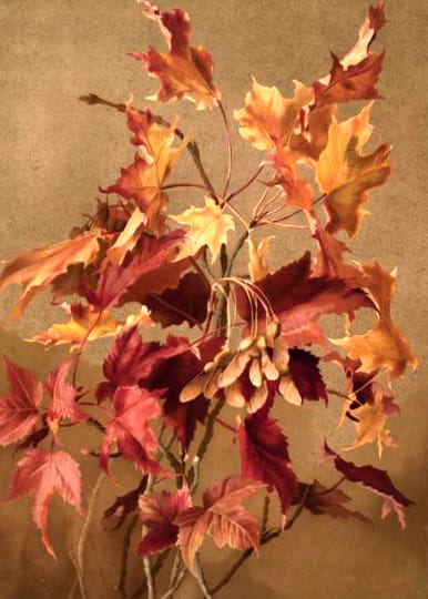 fall leaves 19th century autumn illustration public domain