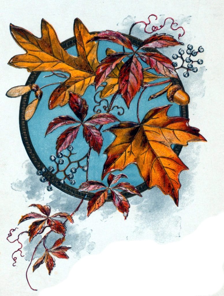 fall leaves illustration dinner party menu 19th century public domain