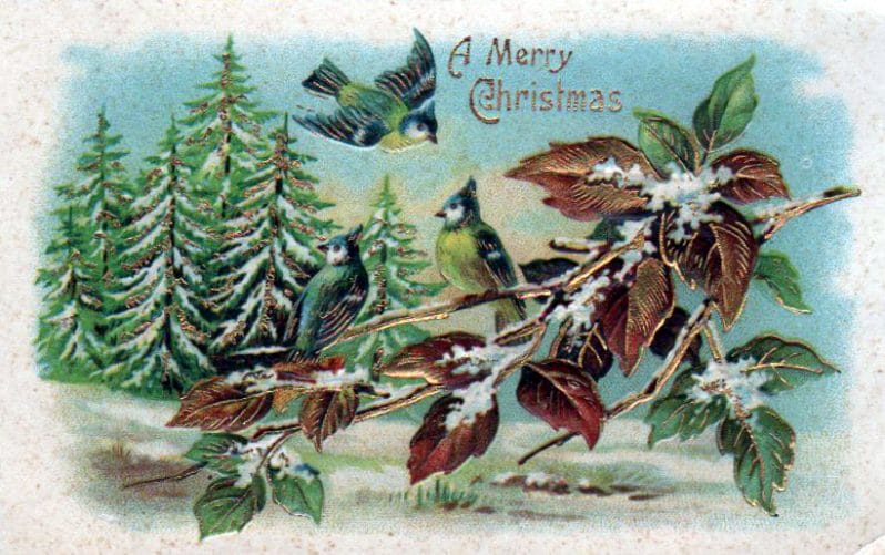 Winter illustrations from vintage christmas cards