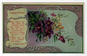 19th 20th century valentines day pictures purple flowers