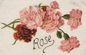 19th 20th century valentines day pictures rose card