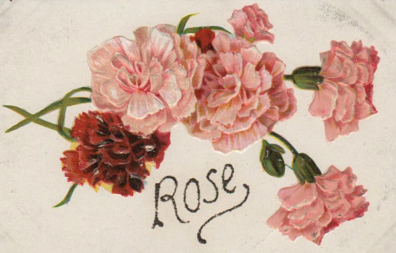19th 20th century valentines day pictures rose card