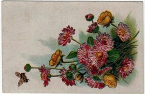 19th 20th century valentines day pictures wildflowers card