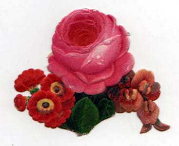 19th century valentines day pictures rose diecut