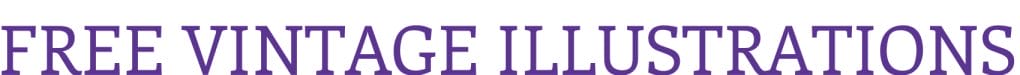 purple font fvi