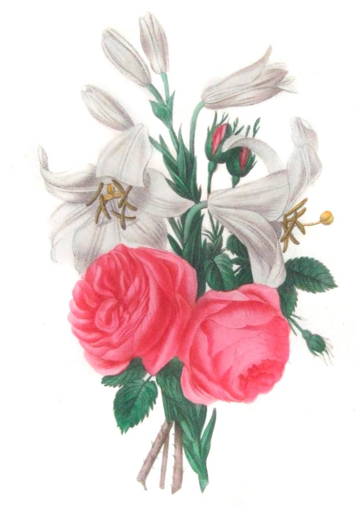 copyright free illustrations of french bouquets
