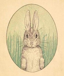 bunny illustration from public domain childrens book