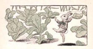 dancing bunny illustration from public domain childrens book