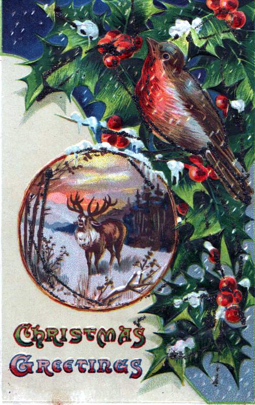 christmas illustration bird and reindeer
